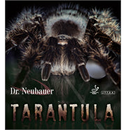 Dr.Neubauer Tarantula